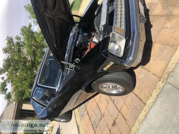 1977 nova hatchback needs Tlc runs