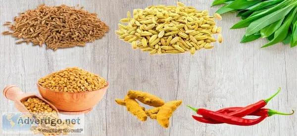 Spices manufacturer in india