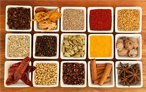 Spices manufacturer in india
