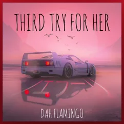 THIRD TRY FOR HER BY DAH FLAMINGO