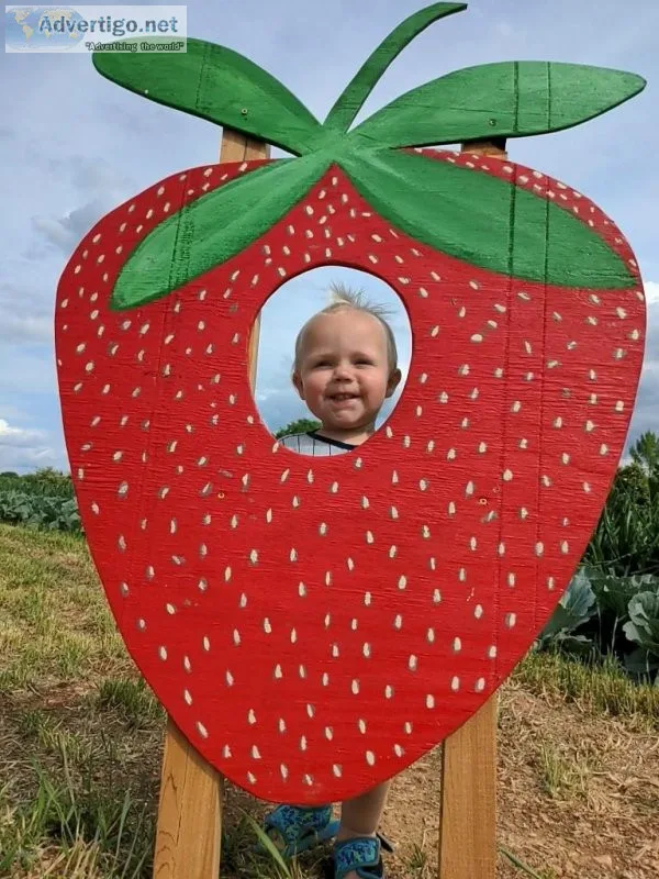 Alexander Family Farms