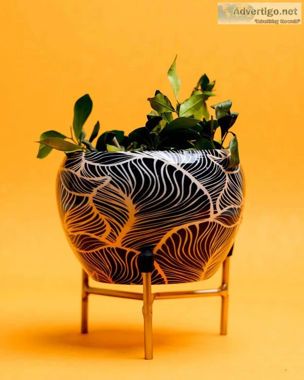 Home decor: buy designer planter online at best prices