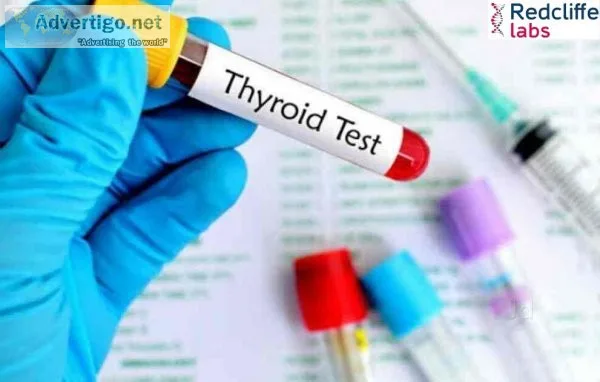 Thyroid function test | tsh normal range | thyroid test price