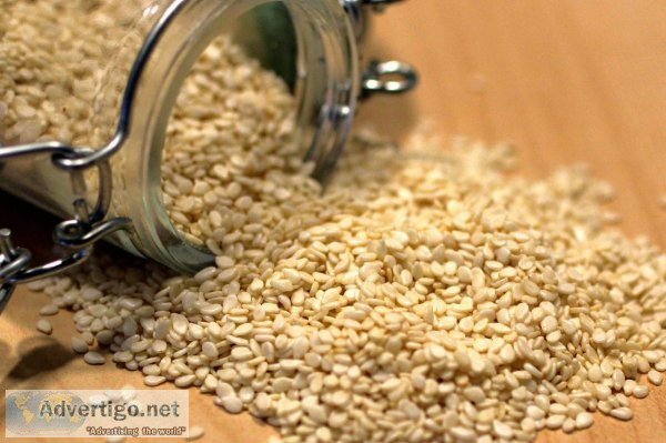 Sesame seed tender india