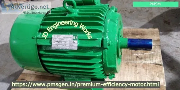 Permanent magnet synchronous motor (pmsm)