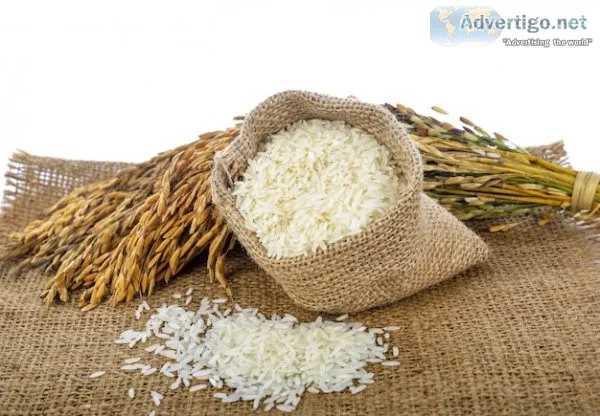 Export basmati rice online at best price through tradologiecom