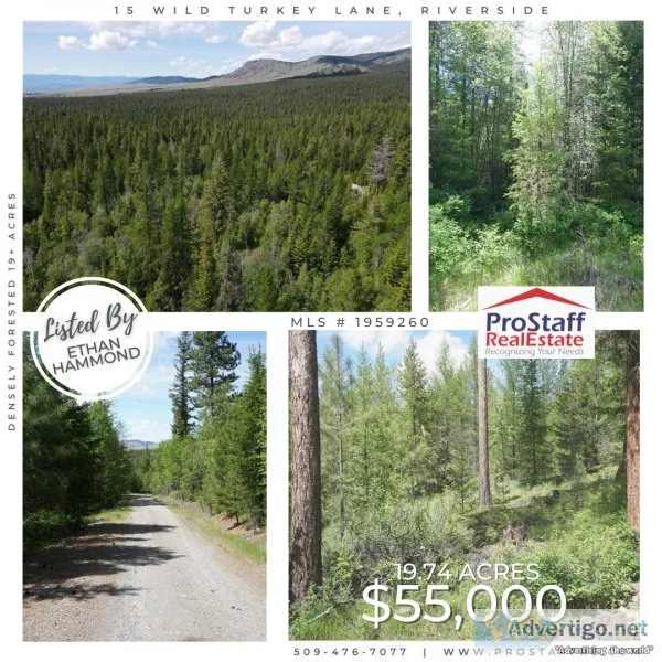 Densely Forested 19 Acres