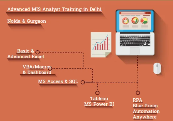 Advanced MIS Training Course Delhi Faridabad Ghaziabad SLA MIS I