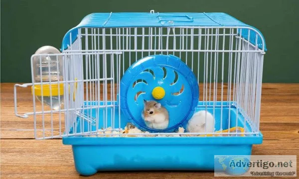 Buy Hamster Cages Online in India
