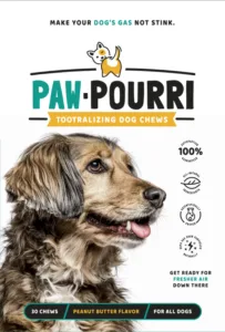 Pet owners who love their pet.