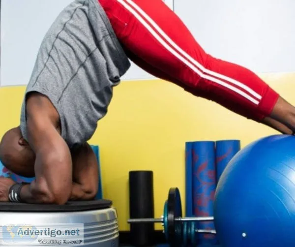 Buy vibrating platform exercise machine online