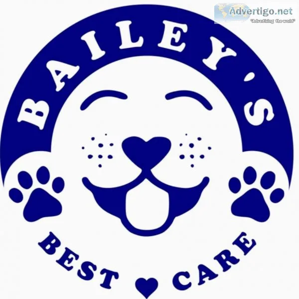 Bailey s Best Care Pet Transport