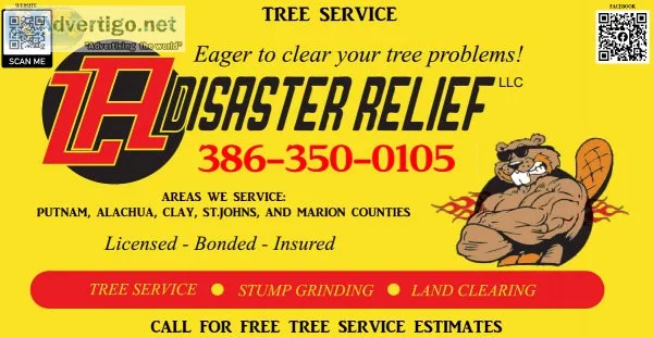 Tree Service - Experienced Licensed Bonded and Insured