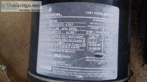 Emerson Pool Pump with basket