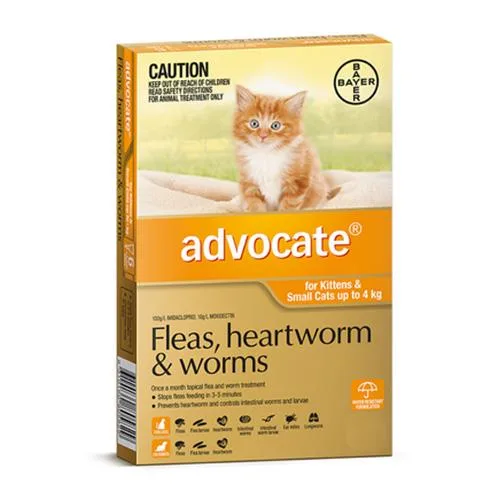 Buy Advocate For Kittens and Small Cats Up To 4kg (Orange)