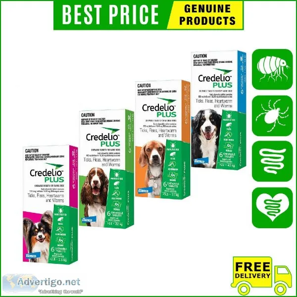 Credelio Plus complete protection against parasites for your dog