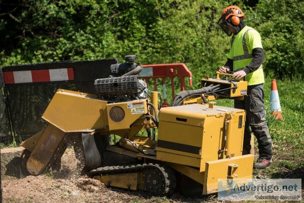 Tree Soldiers - Stump Grinding Buffalo NY