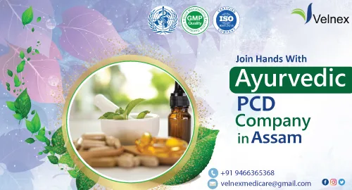 Ayurvedic pcd franchise company in india