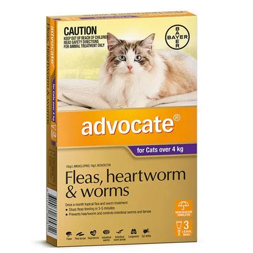 Buy Advocate For Cats Over 4kg Purple  DiscountPetCare