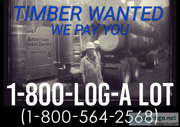 PORT ORCHARD LOGGING COMPANY  TIMBER HARVESTING LOG TRUCKING TIM