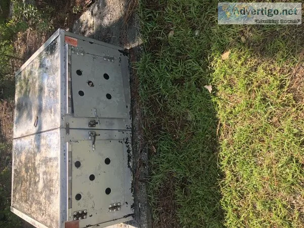 Hunting Dog Box (Beagles)