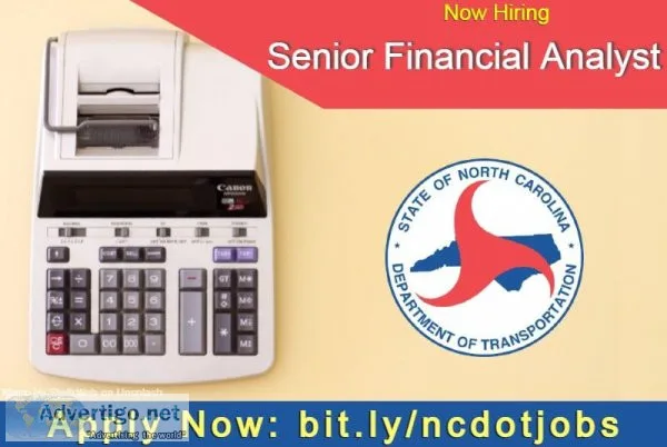 Financial Analyst III