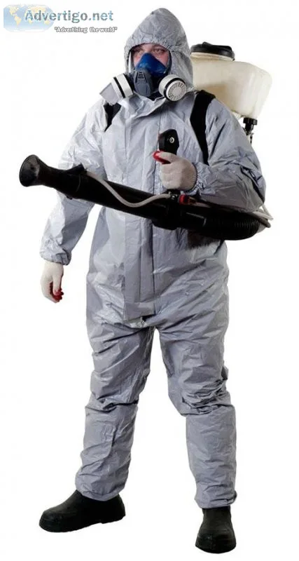 Pest Control in Delhi - Zero Pest Solution