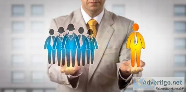 Executive Search Consultant