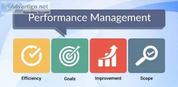 What is Performance Management