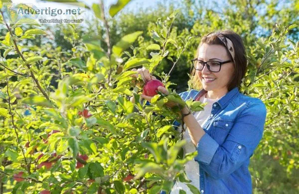 Fruit Tree Benefits