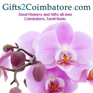 Same day delivery of gifts to coimbatore for any occasion- cheap