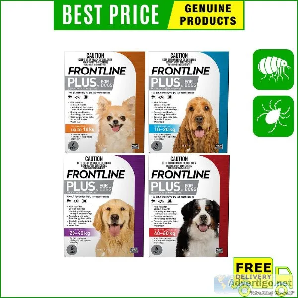 Buy Frontline Plus for Dogs to Control and Treat Flea Ticks