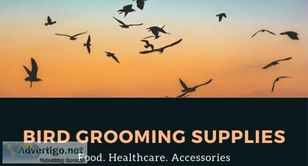 Why Is Bird Grooming Important