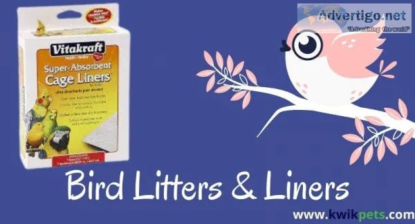 Should Litter Be Used In Bird Cage