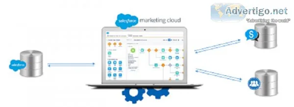 Marketing Technology Issues