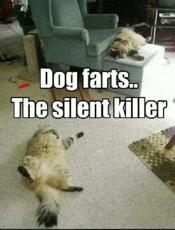 Pet lovers