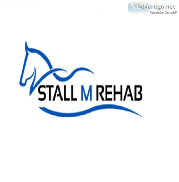 WATER BAND TRAINING FOR HORSES