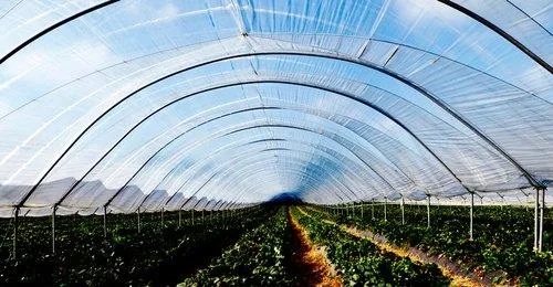 Agricultural Sheet Manufacturer - Mono Industries