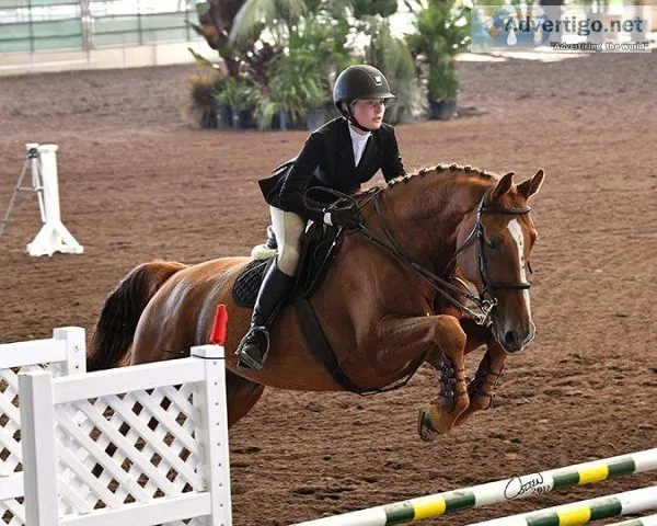 Hay is 4 Horses