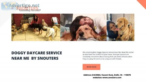 Best Doggy Daycare Service Near Me - Snouters