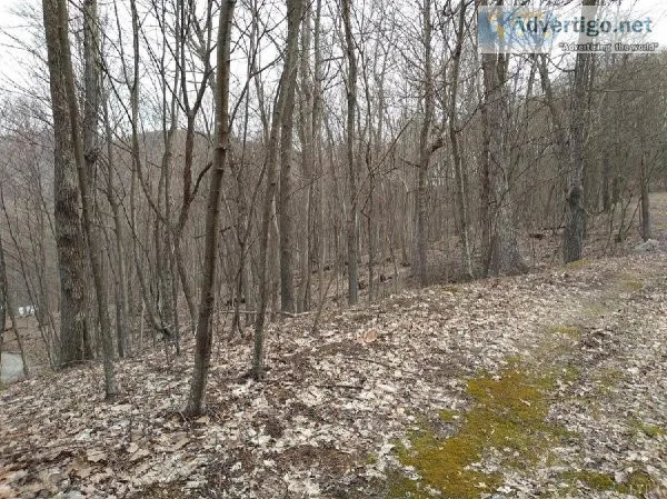 21.81 Acres