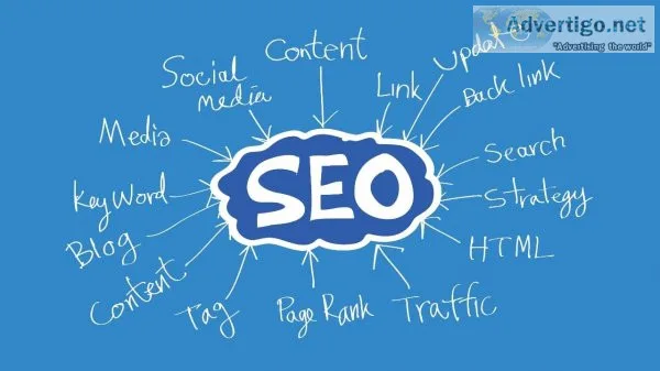 Seo expert in india