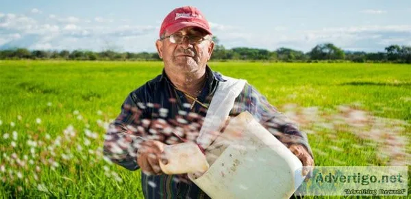 Some Bookkeeping Systems you Need as a Grain Farmer