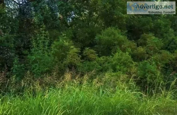 1.12 acre lot in Burleson County Texas