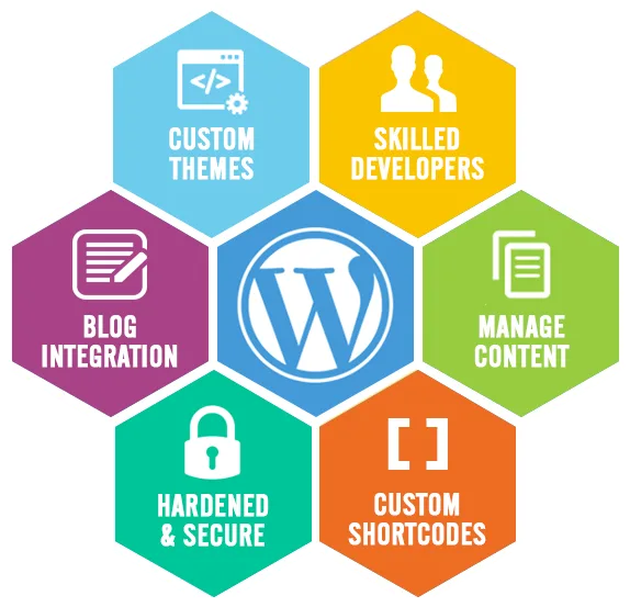 The top cms development company in jaipur