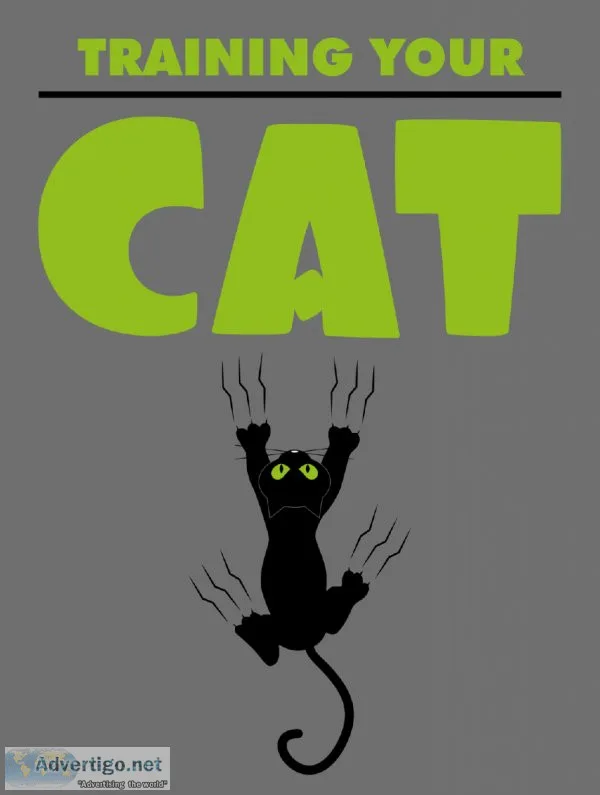 Training Your Cat - No.1 Cat Training And Caring E-Book