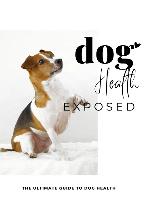 The ULTIMATE Guide to DOG Health