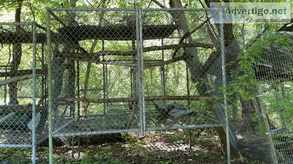Large macaw cages