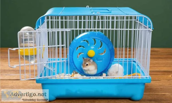 Buy hamster cages online in india at best price