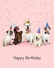 Birthday message for coworker